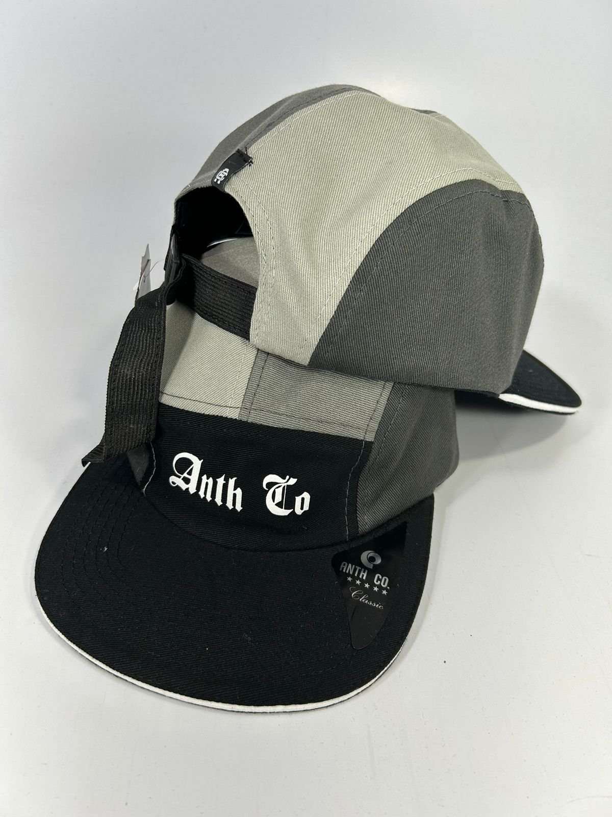 BONÉFIVE PANEL ANTH CO.