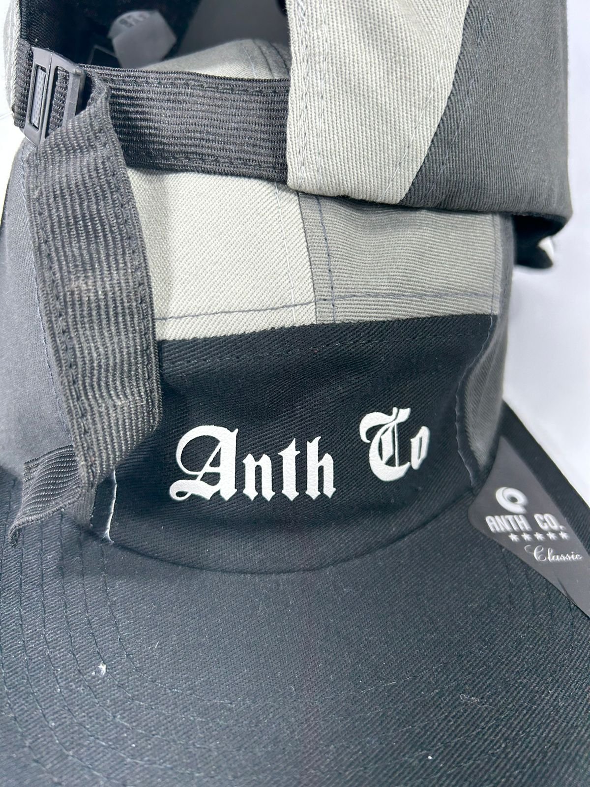 BONÉFIVE PANEL ANTH CO. - Imagem 2